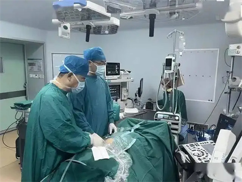 详细介绍